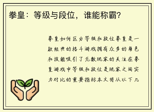 拳皇：等级与段位，谁能称霸？